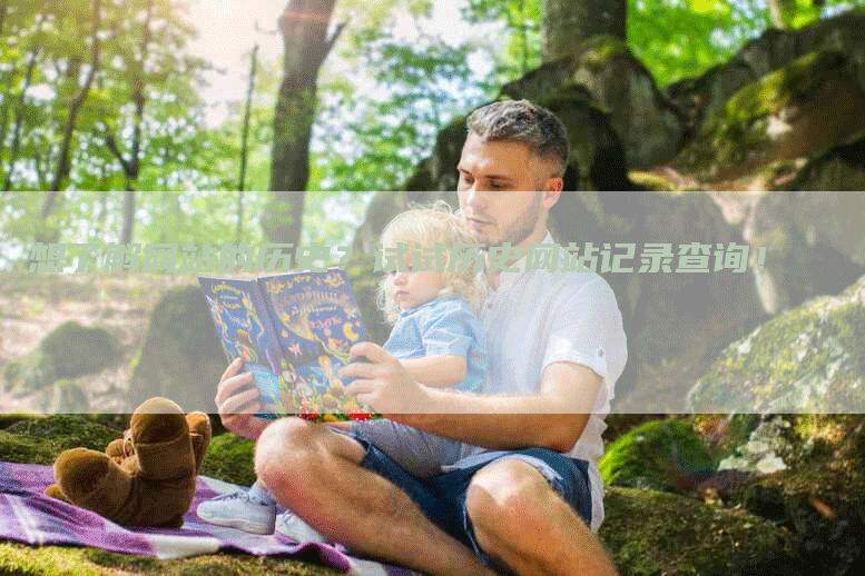想了解网站的历史?试试历史网站记录查询!-九九文章网