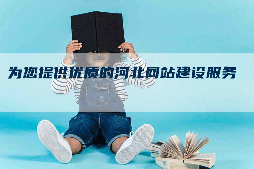 为您提供优质的河北网站建设服务