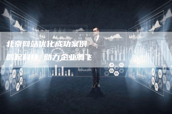 北京网站优化成功案例  鹊起科技 助力企业腾飞