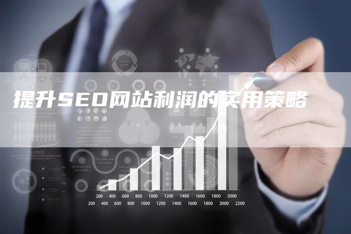 提升SEO网站利润的实用策略