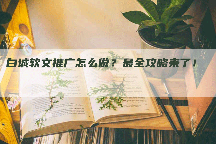 白城软文推广怎么做？最全攻略来了！