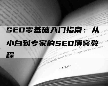 SEO零基础入门指南：从小白到专家的SEO博客教程