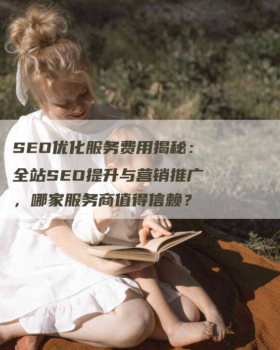 SEO优化服务费用揭秘:全站SEO提升与营销推广,哪家服务商值得信赖?-九九文章网