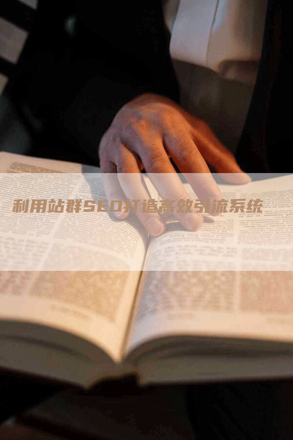 利用站群SEO打造高效引流系统