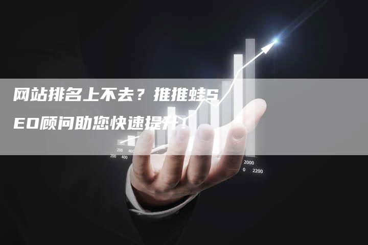 网站排名上不去？推推蛙SEO顾问助您快速提升！