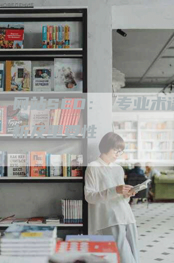 网站SEO： 专业术语解析及重要性