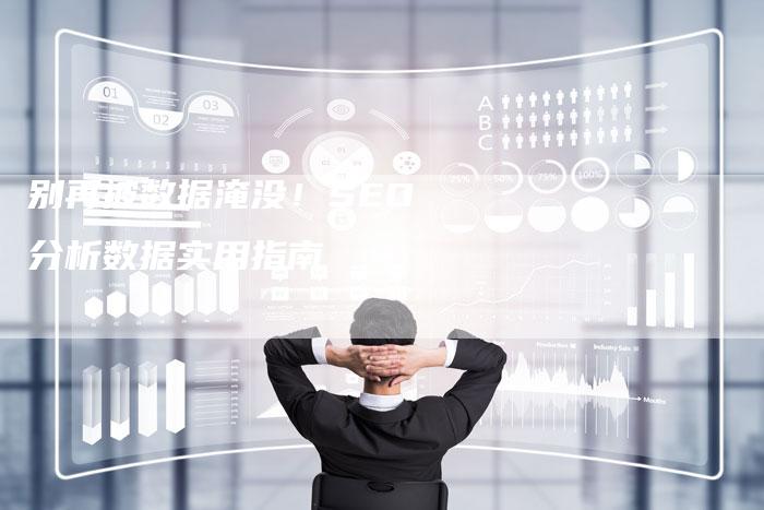 别再被数据淹没！SEO 分析数据实用指南
