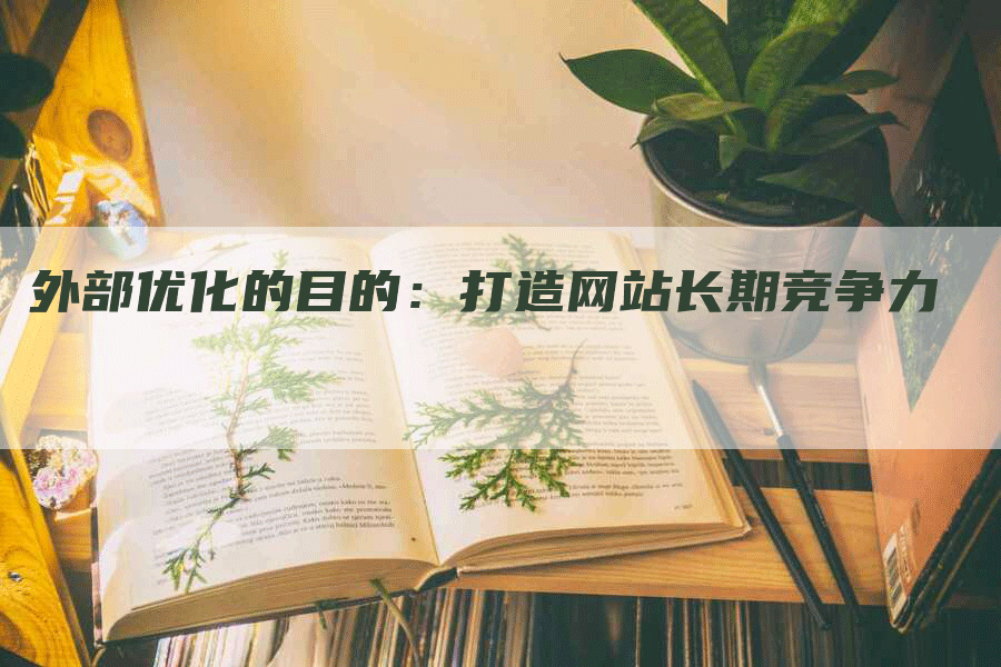 外部优化的目的：打造网站长期竞争力