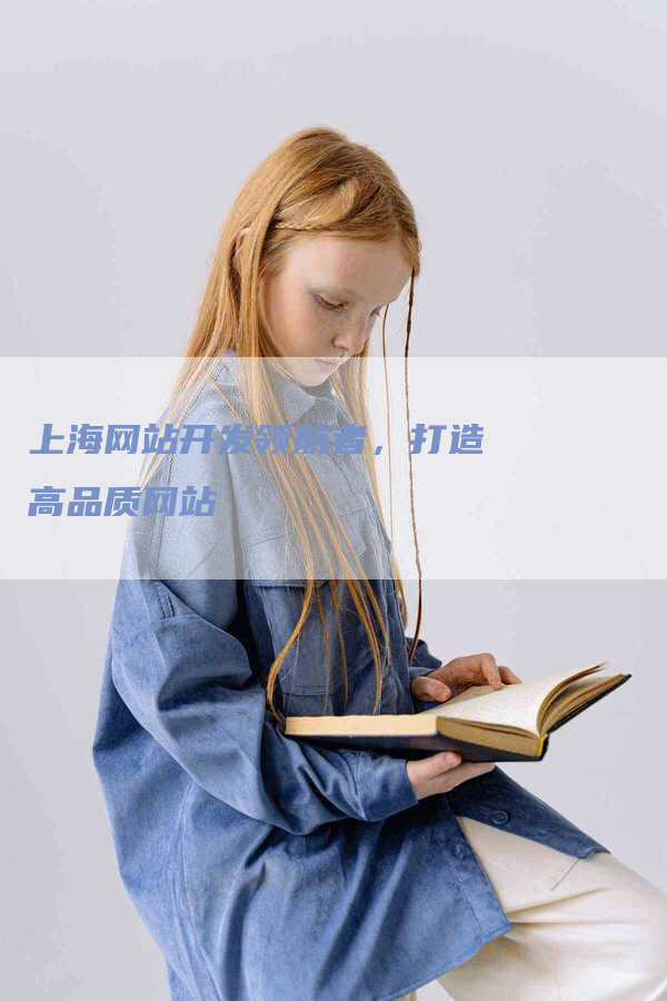 上海网站开发领航者，打造高品质网站