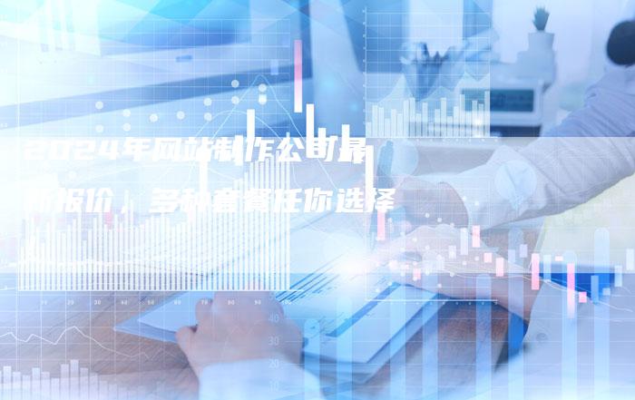 2024年网站制作公司最新报价，多种套餐任你选择！