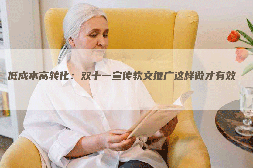低成本高转化：双十一宣传软文推广这样做才有效