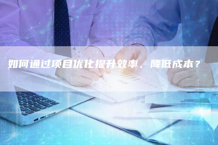 如何通过项目优化提升效率、降低成本？