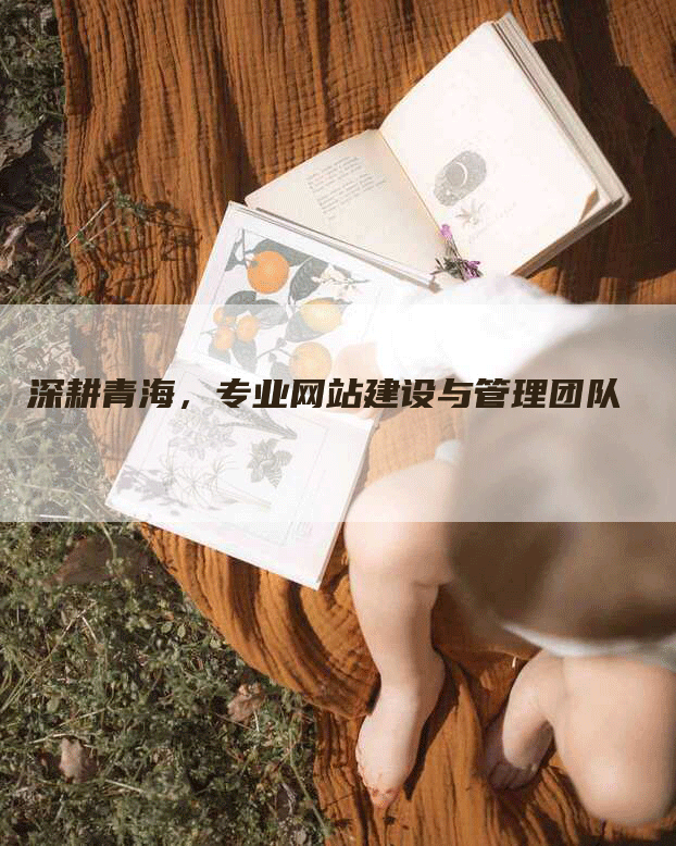 深耕青海，专业网站建设与管理团队