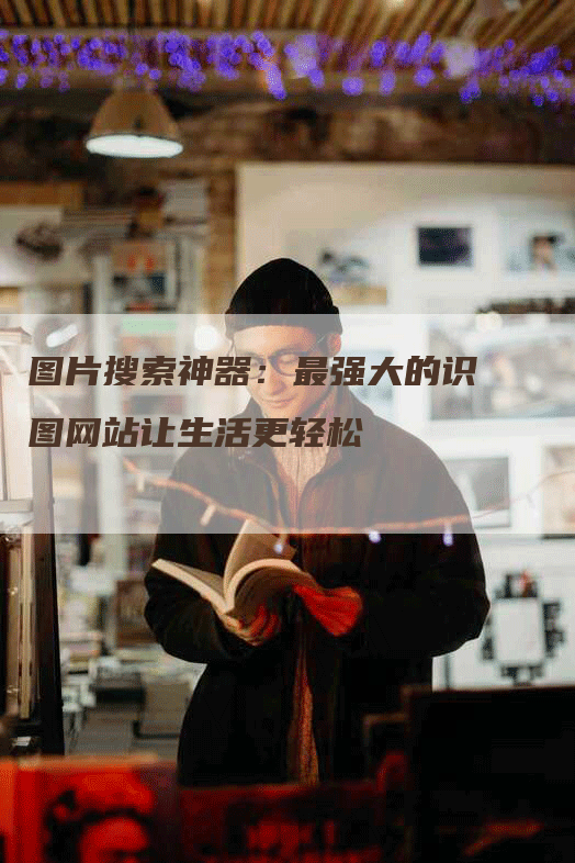 图片搜索神器：最强大的识图网站让生活更轻松