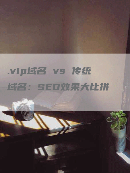 .vip域名 vs 传统域名：SEO效果大比拼