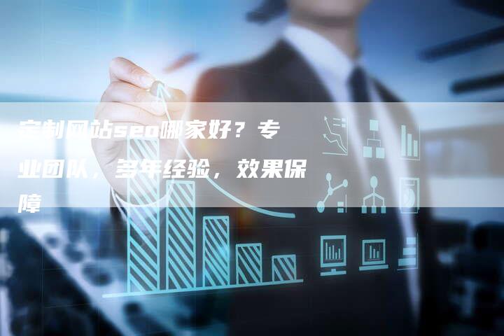 定制网站seo哪家好？专业团队，多年经验，效果保障