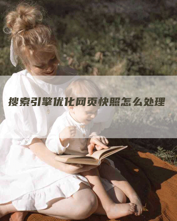 搜索引擎优化网页快照怎么处理