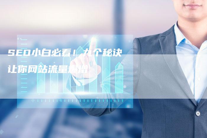 SEO小白必看！九个秘诀让你网站流量爆增