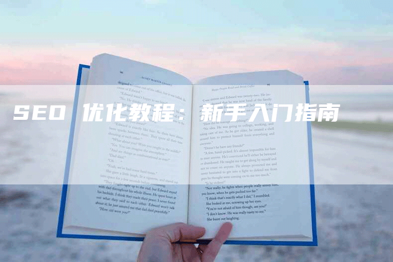 SEO 优化教程：新手入门指南
