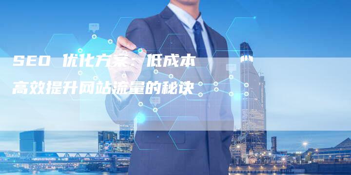 SEO 优化方案：低成本高效提升网站流量的秘诀