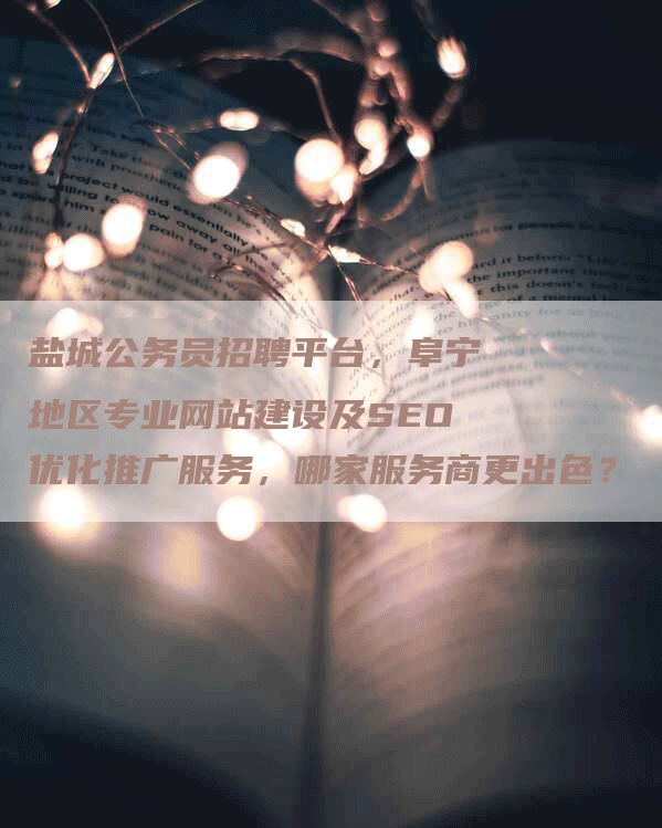 盐城公务员招聘平台，阜宁地区专业网站建设及SEO优化推广服务，哪家服务商更出色？