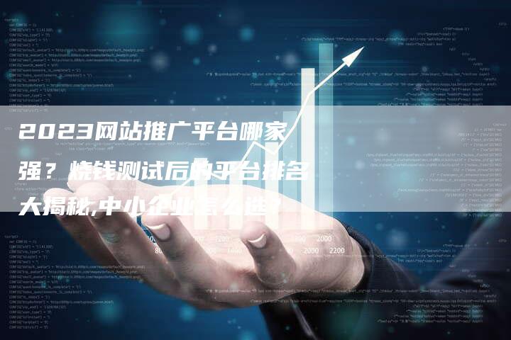 2023网站推广平台哪家强？烧钱测试后的平台排名大揭秘,中小企业怎么选？