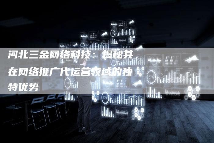 河北三金网络科技：揭秘其在网络推广代运营领域的独特优势