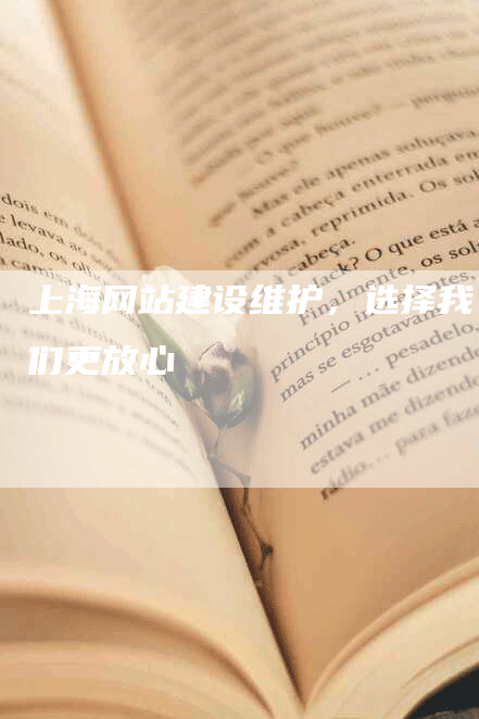 上海网站建设维护，选择我们更放心