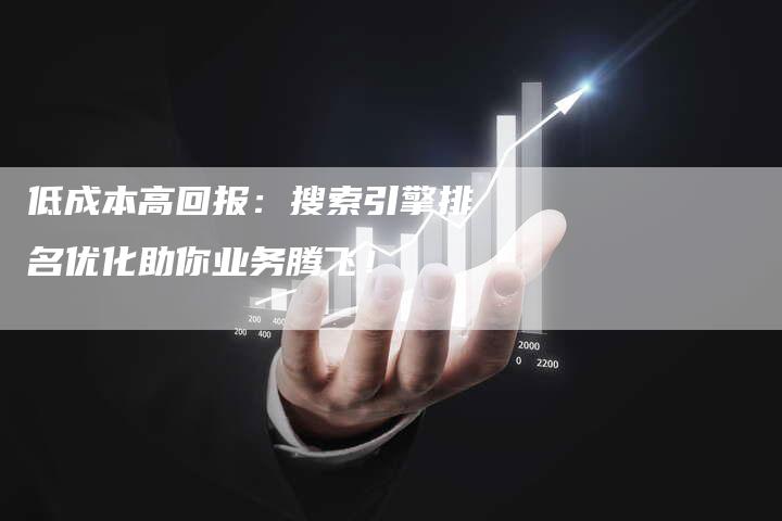 低成本高回报：搜索引擎排名优化助你业务腾飞！
