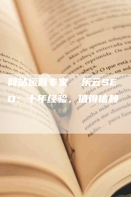 网站运营专家  乐云SEO：十年经验，值得信赖