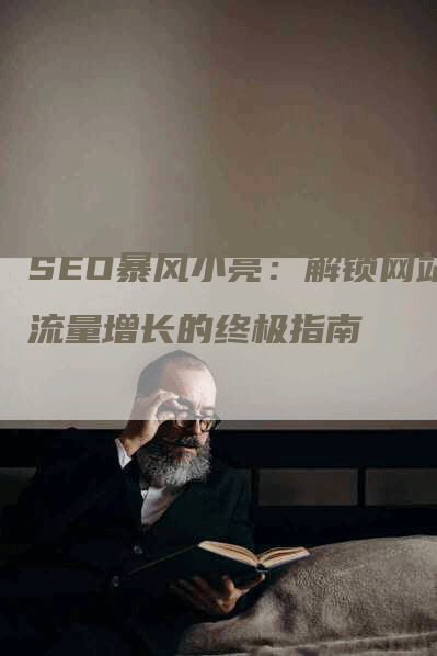 SEO暴风小亮：解锁网站流量增长的终极指南
