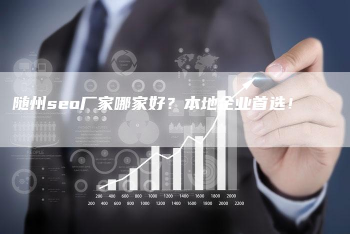 随州seo厂家哪家好？本地企业首选！