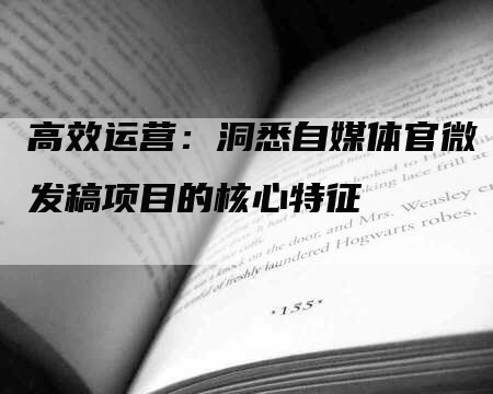高效运营：洞悉自媒体官微发稿项目的核心特征