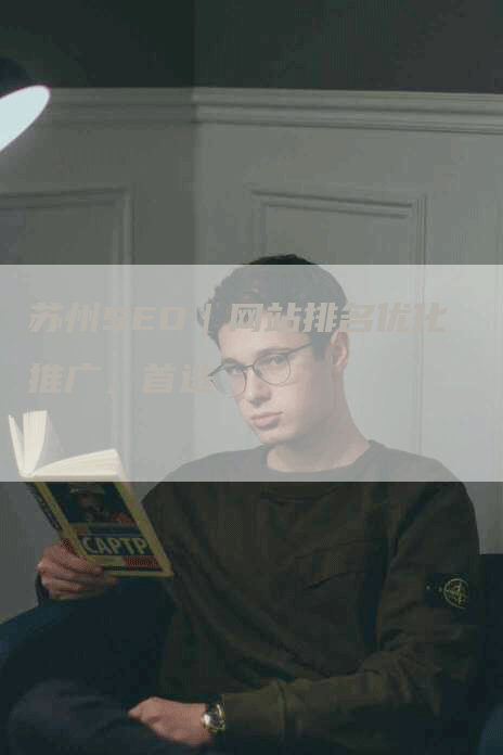 苏州SEO｜网站排名优化推广，首选