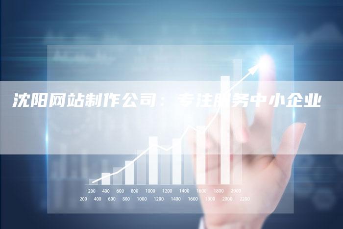 沈阳网站制作公司：专注服务中小企业