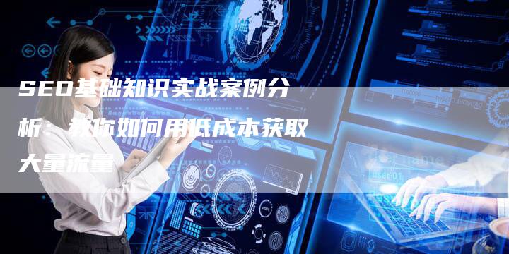 SEO基础知识实战案例分析：教你如何用低成本获取大量流量