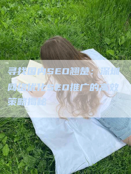 寻找国内SEO翘楚:深圳网络优化SEO推广的高效策略揭秘-九九文章网