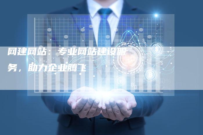 网建网站：专业网站建设服务，助力企业腾飞