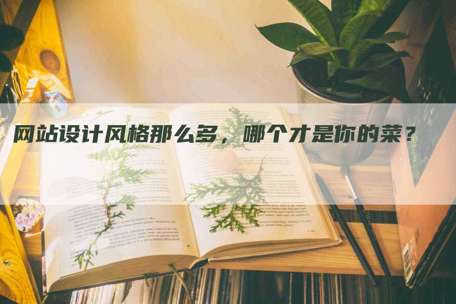 网站设计风格那么多，哪个才是你的菜？