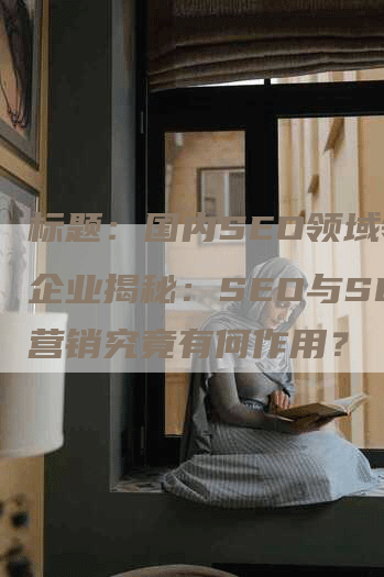 标题：国内SEO领域领先企业揭秘：SEO与SEO营销究竟有何作用？