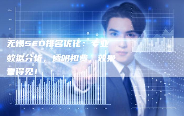 无锡SEO排名优化：专业数据分析，透明扣费，效果看得见！