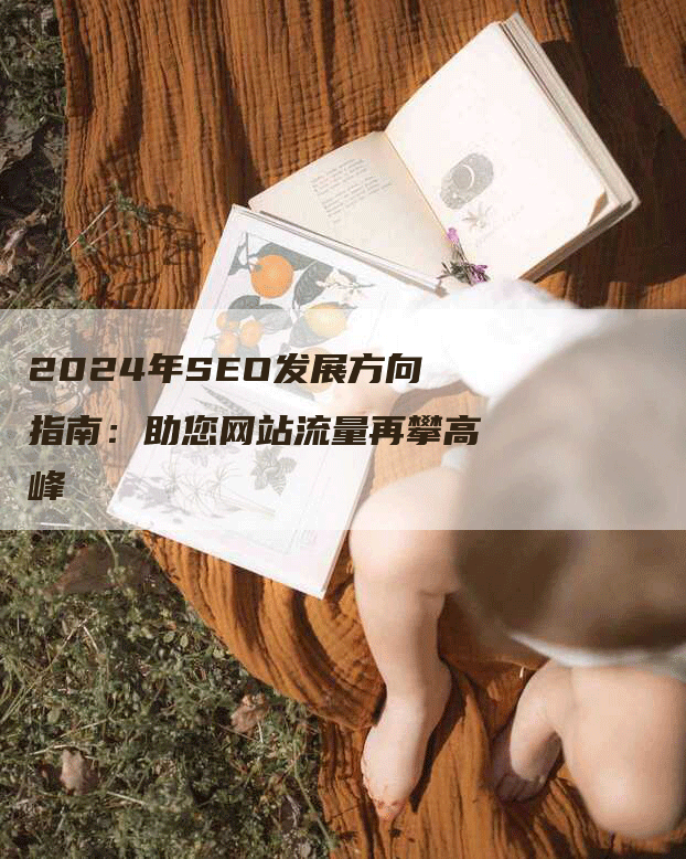 2024年SEO发展方向指南:助您网站流量再攀高峰-九九文章网