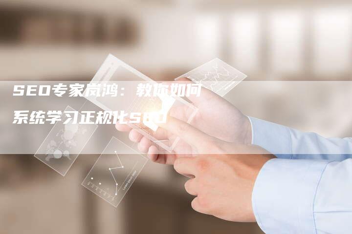 SEO专家岚鸿：教你如何系统学习正规化SEO