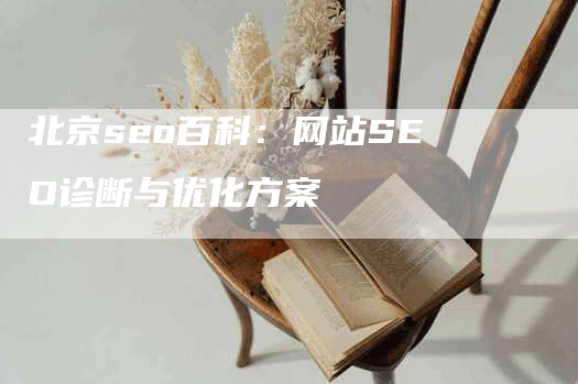 北京seo百科：网站SEO诊断与优化方案