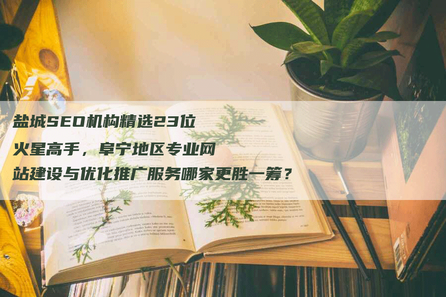 盐城SEO机构精选23位火星高手，阜宁地区专业网站建设与优化推广服务哪家更胜一筹？
