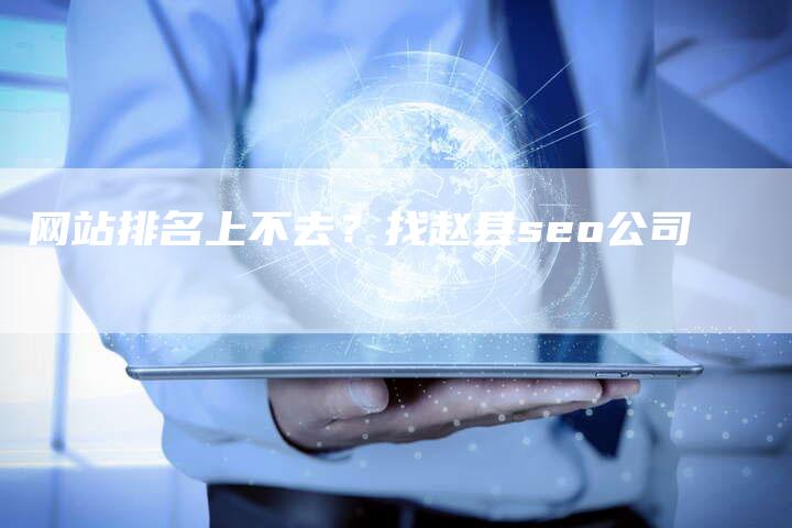 网站排名上不去？找赵县seo公司
