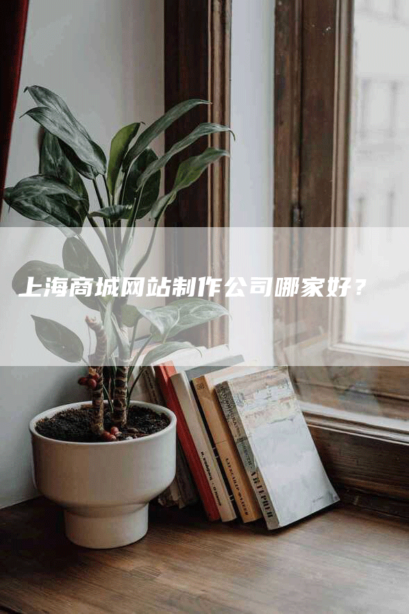 上海商城网站制作公司哪家好？